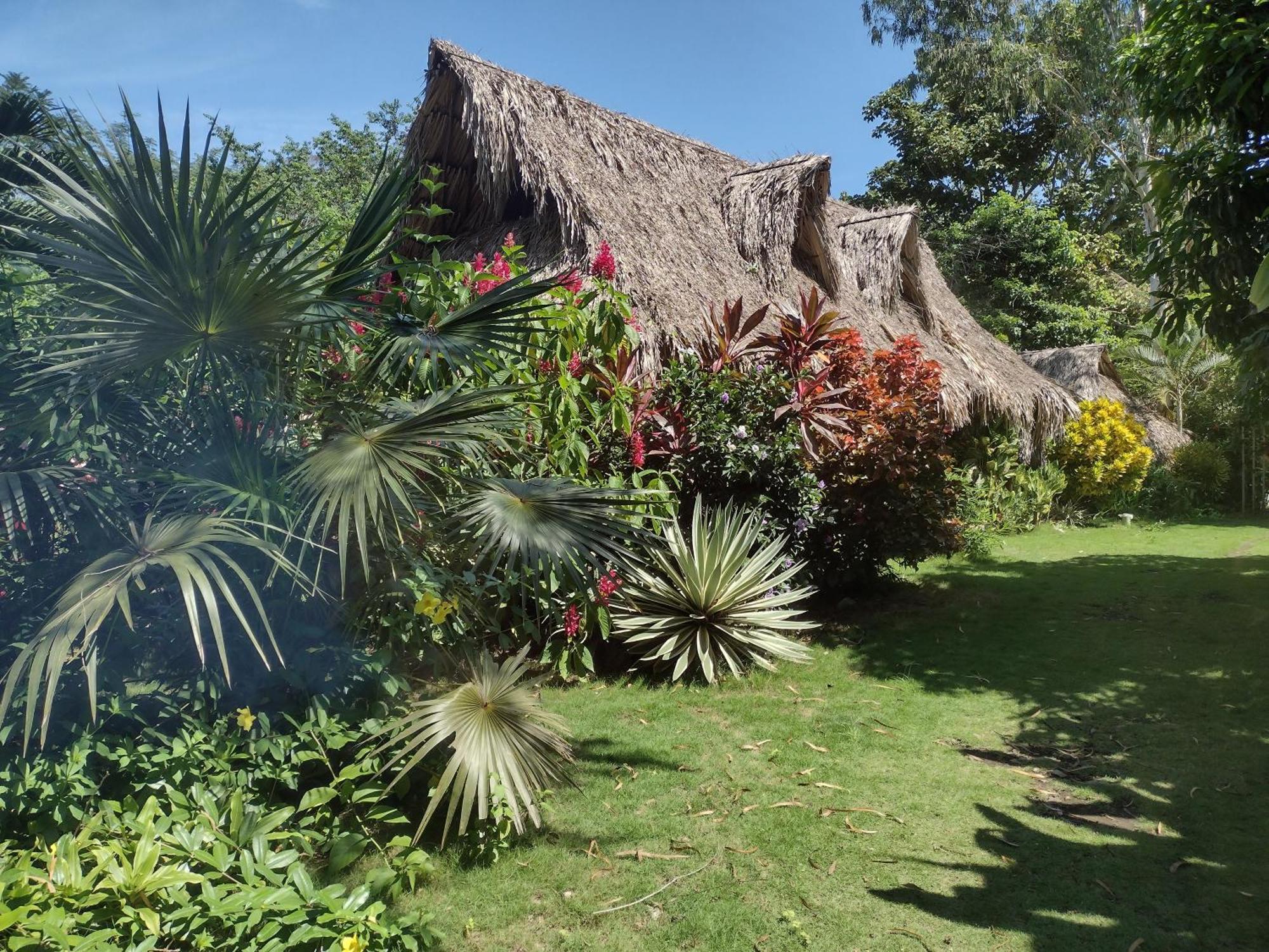 Sexto Sentido & Pan Frances Lodge